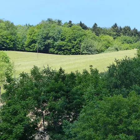 Aux Sapins * Sainte-Marie-aux-Mines
