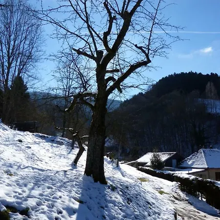 Apartament Aux Sapins *