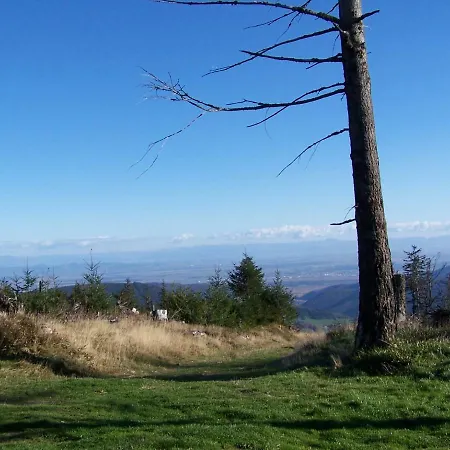 Aux Sapins Apartmán Sainte-Marie-aux-Mines